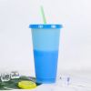 Hot And Cold Change Homogeneous Plastic Color Change Cup With Straw