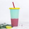 Hot And Cold Change Homogeneous Plastic Color Change Cup With Straw