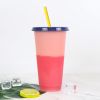 Hot And Cold Change Homogeneous Plastic Color Change Cup With Straw