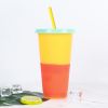 Hot And Cold Change Homogeneous Plastic Color Change Cup With Straw